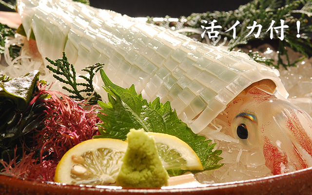 活イカ付！