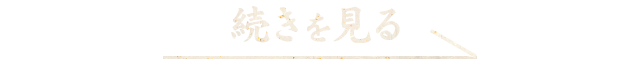 続きを見る